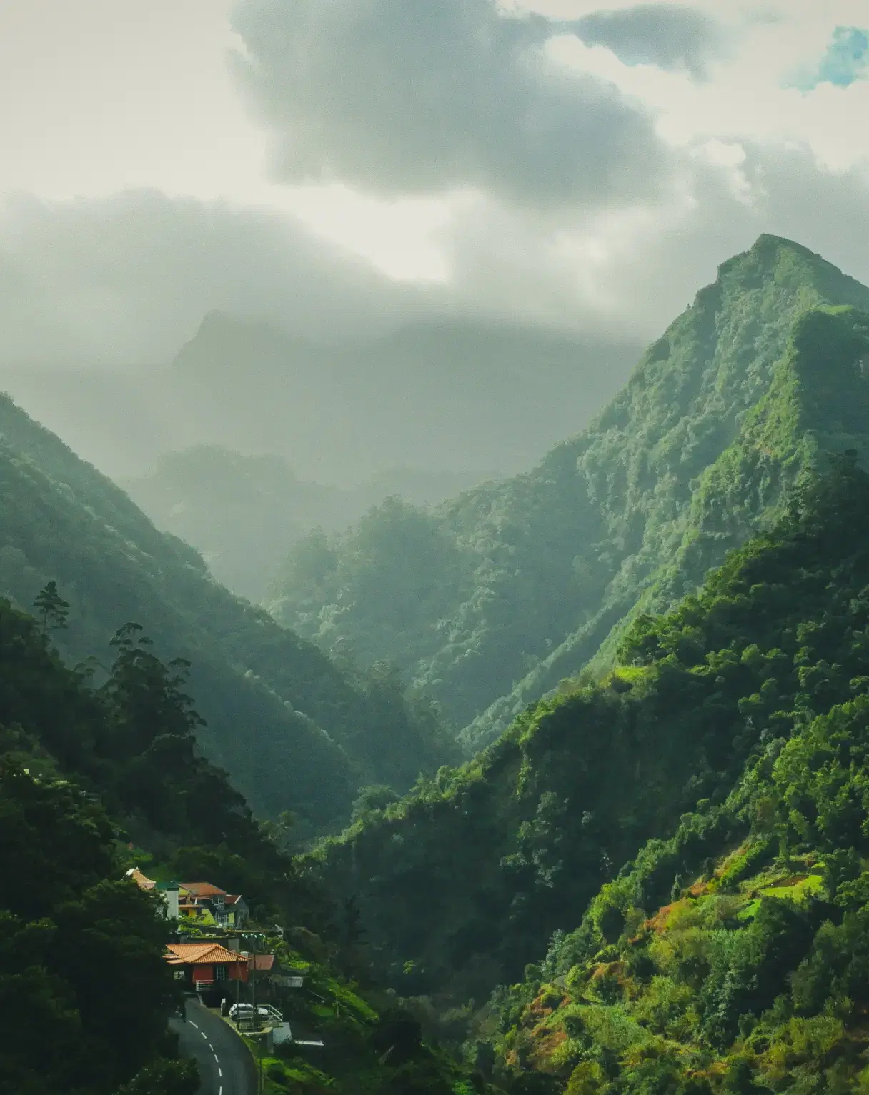 We transform companies through design innovation